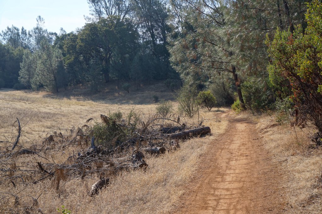 Foresthill Divide Loop