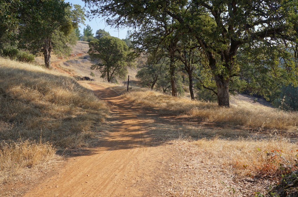Foresthill Divide Loop