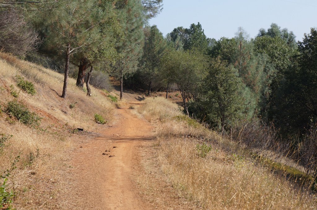 Foresthill Divide Loop