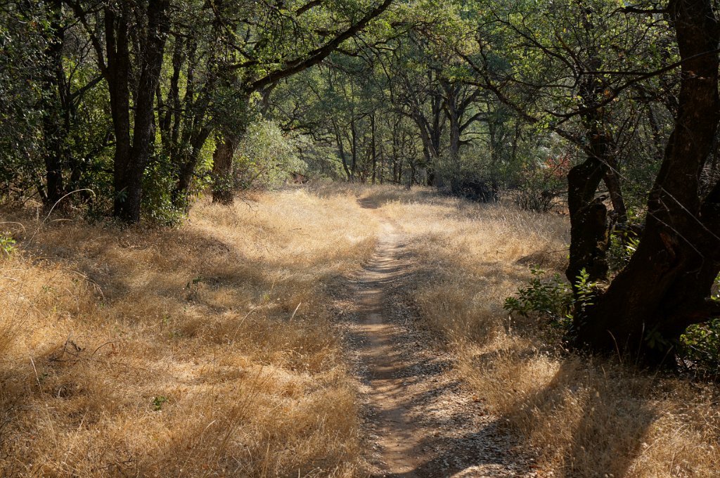 Foresthill Divide Loop