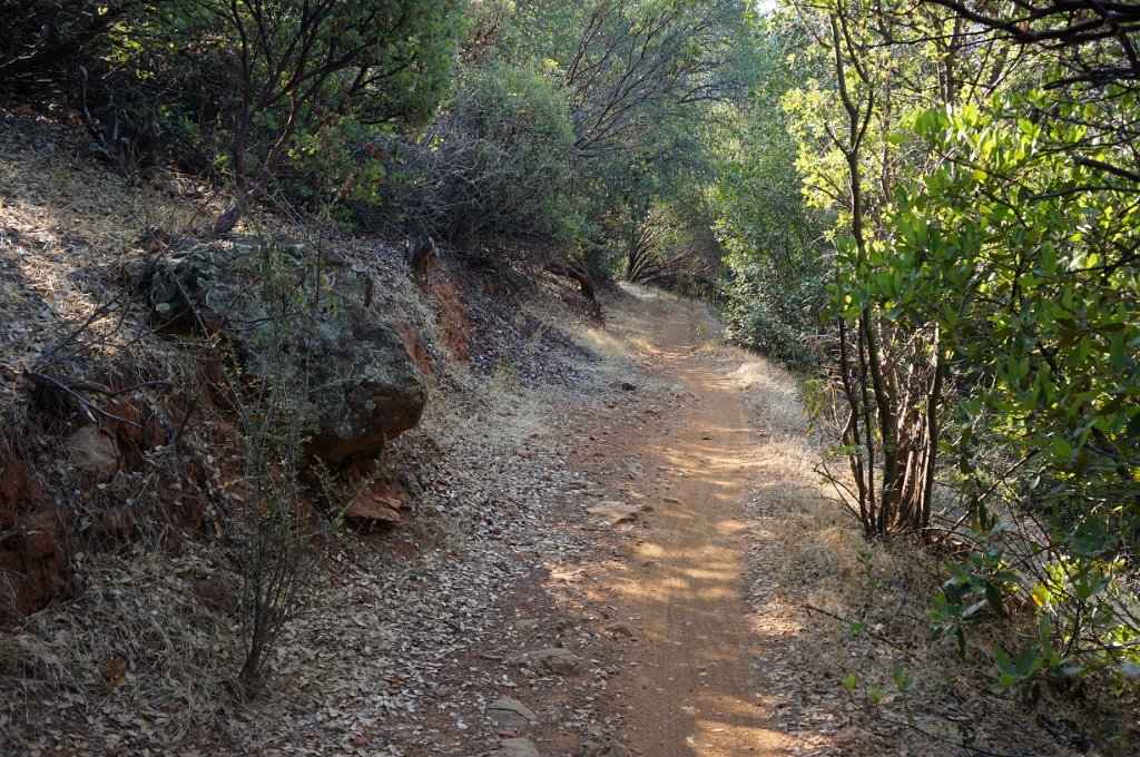 Foresthill Divide Loop