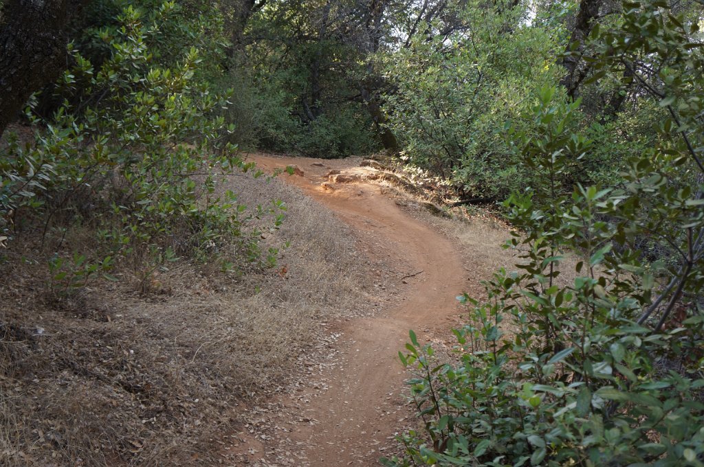 Foresthill Divide Loop