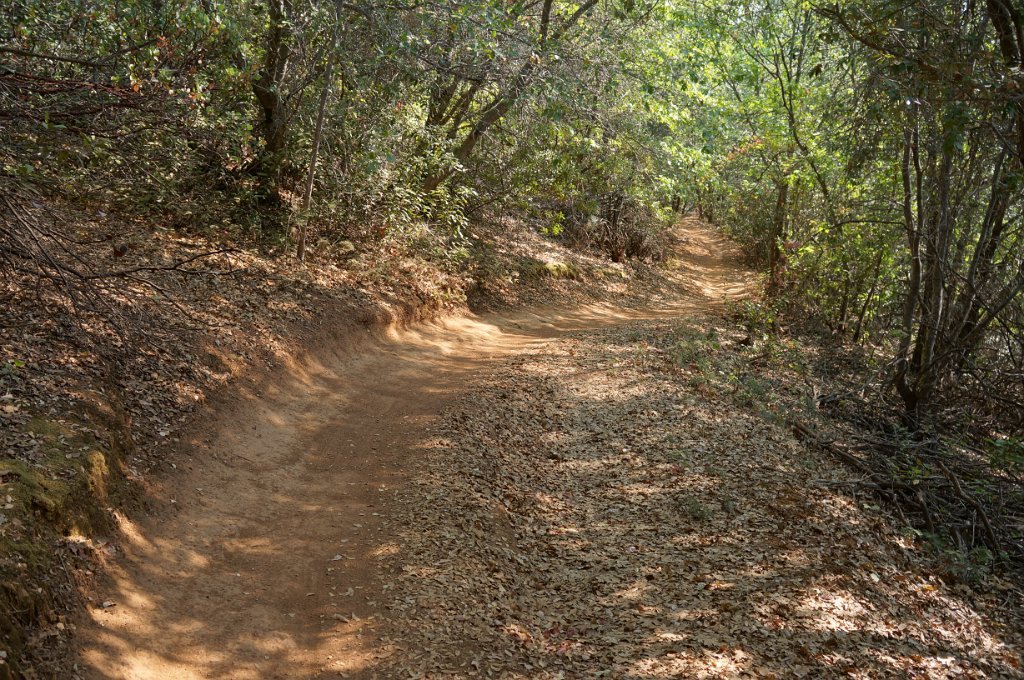 Foresthill Divide Loop