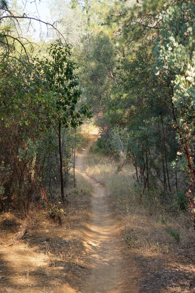 Foresthill Divide Loop