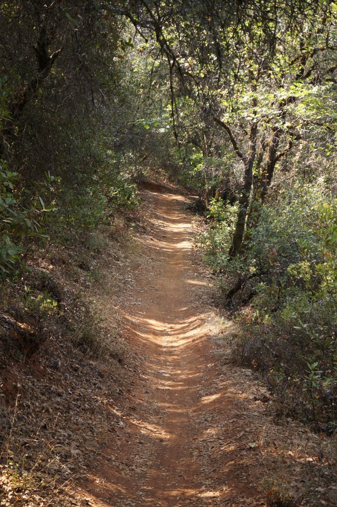 Foresthill Divide Loop