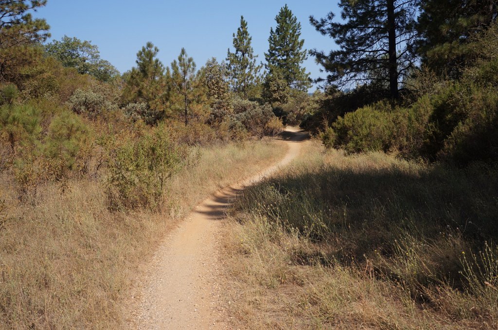 Foresthill Divide Loop