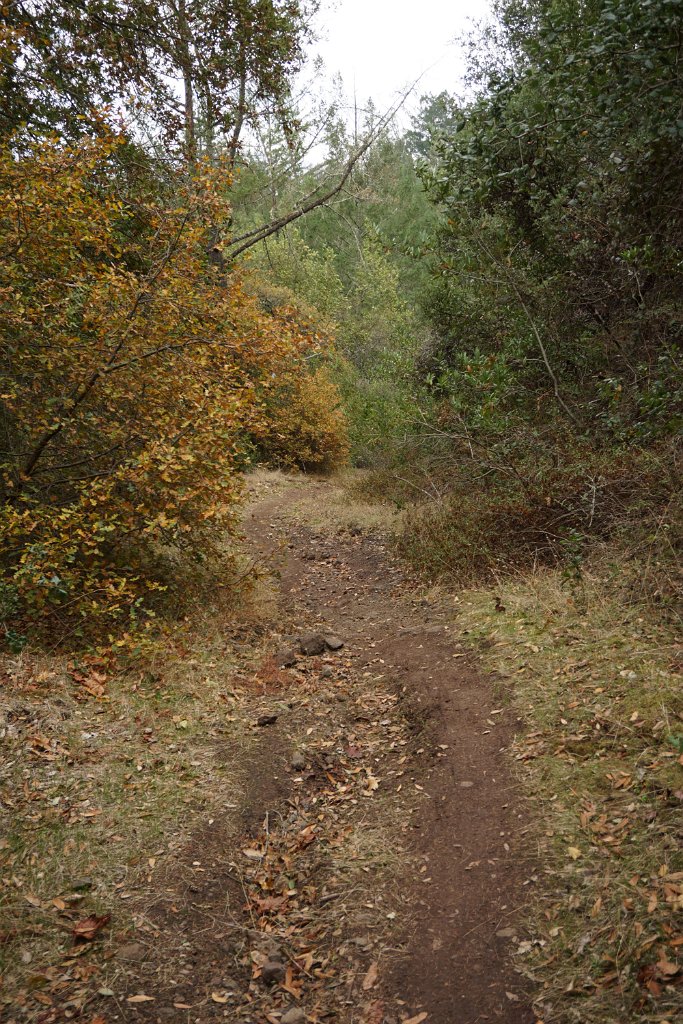 DSC06543