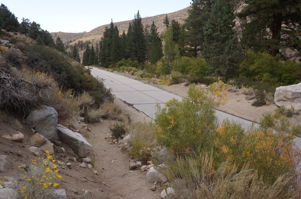 Lower Rock Creek Trail