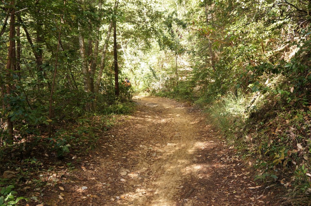 DSC01957