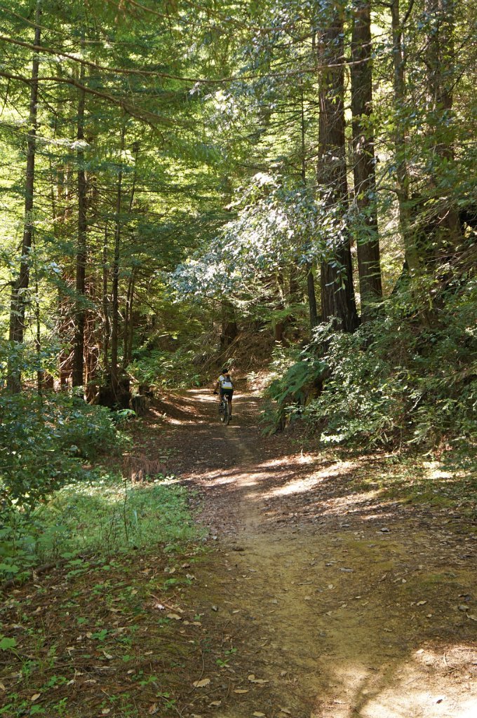 DSC02032