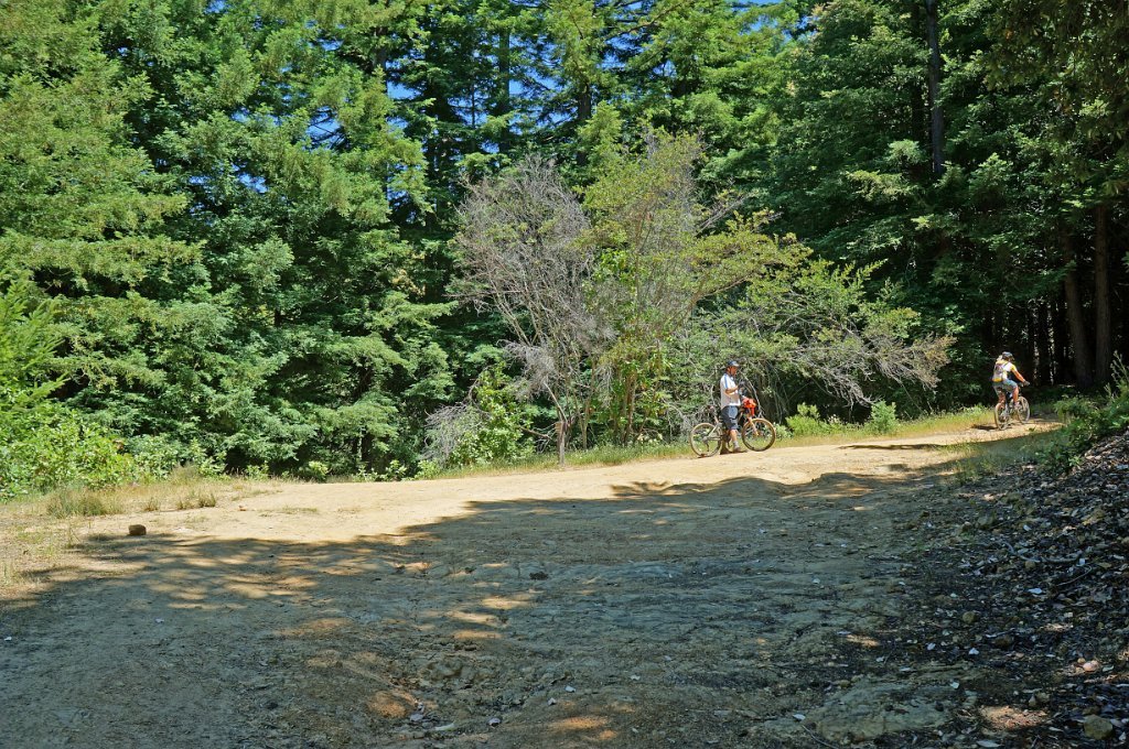 DSC02052