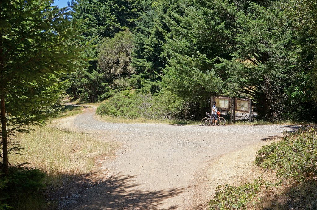 DSC02079