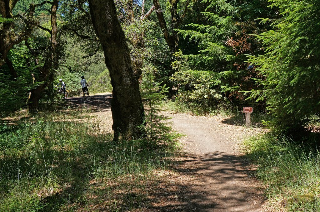 DSC02094