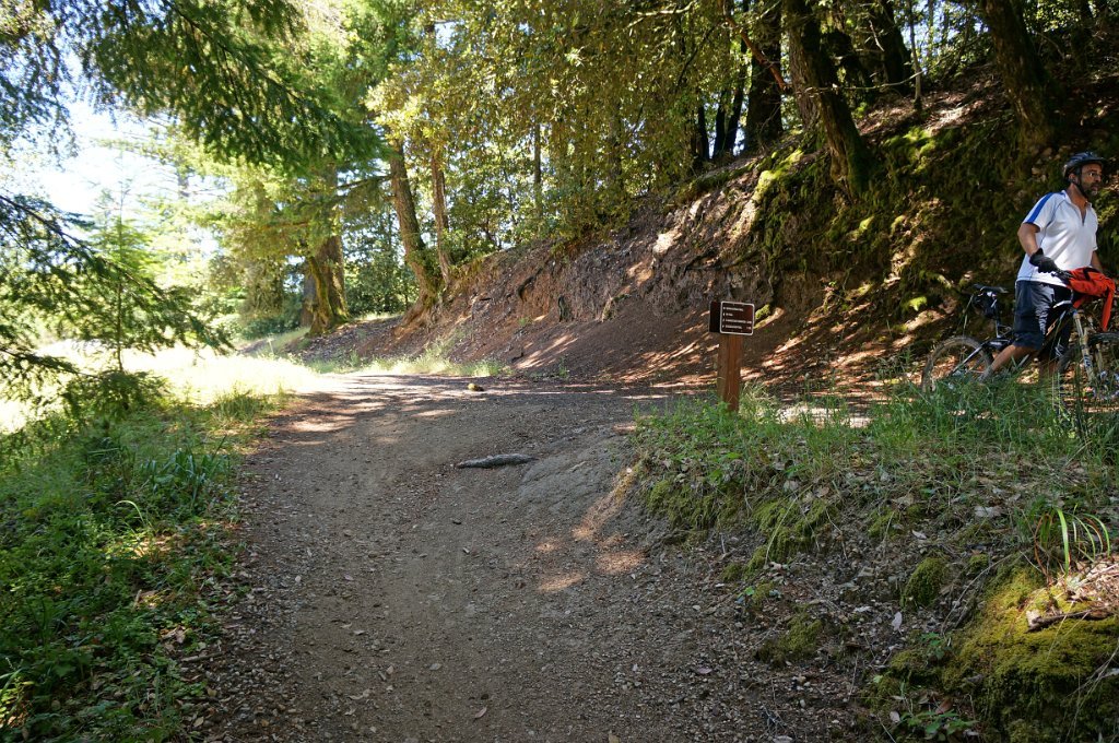 DSC02107