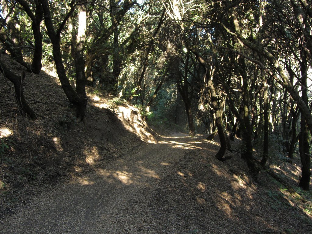 IMG_1786