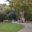 DSC05181