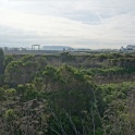DSC05217