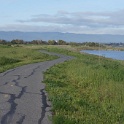 DSC05222