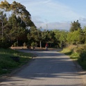DSC05242