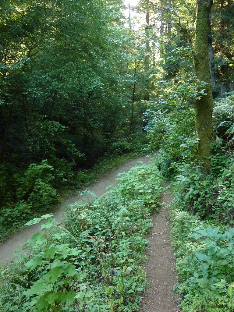P1030369
